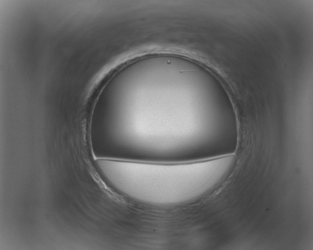 X0000081271503200701110854