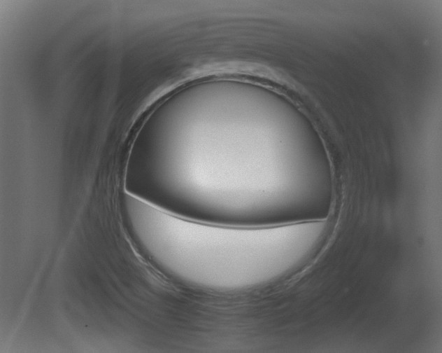 X0000081271505200701110854