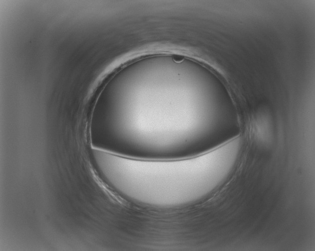 X0000081271507200701110854
