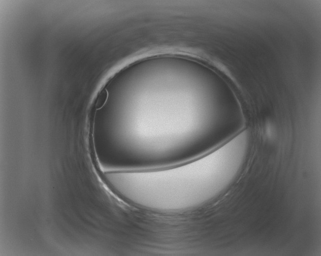 X0000081271508200701110854
