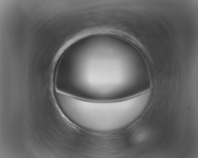 X0000081271512200701110854