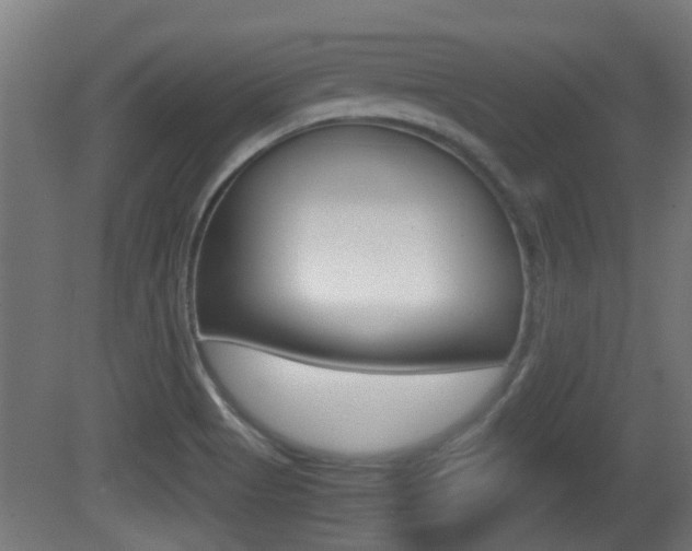 X0000081271513200701110854