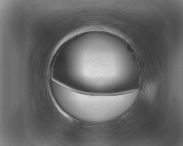 X0000081271519200701110854