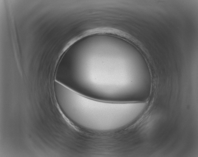 X0000081271521200701110854