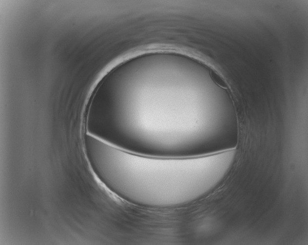 X0000081271527200701110854