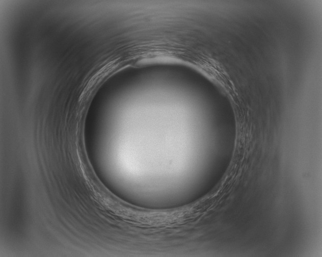 X0000081270001200701111318
