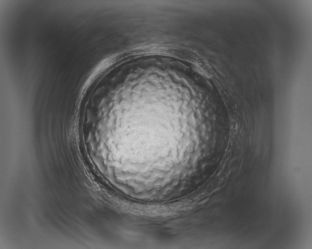X0000081270006200701111318