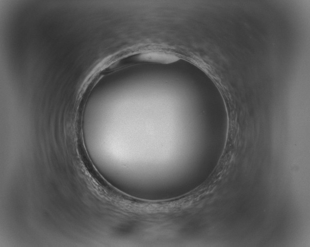 X0000081270007200701111318