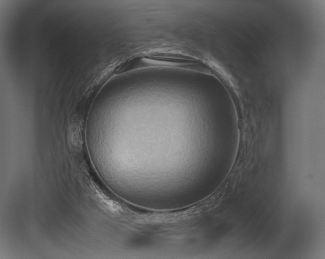 X0000081270009200701111318