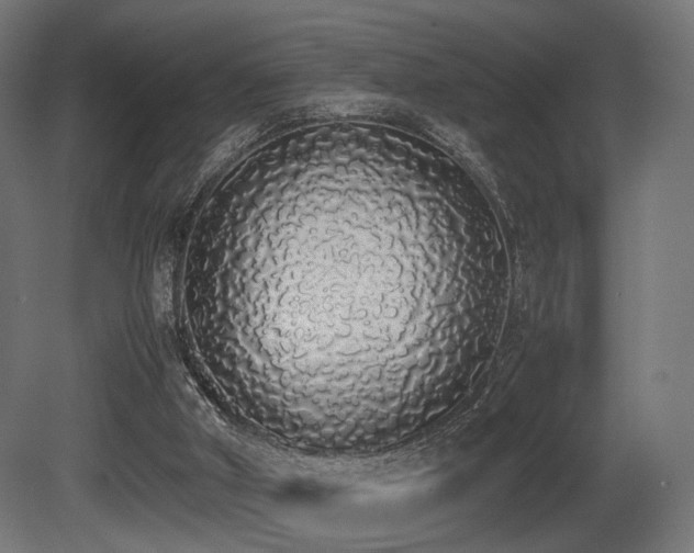 X0000081270010200701111318