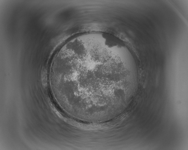 X0000081270012200701111318