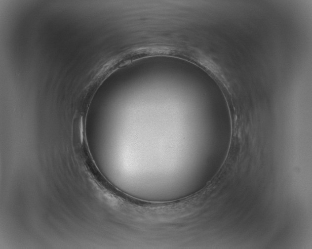 X0000081270013200701111318