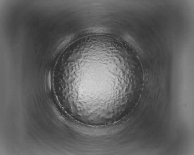 X0000081270014200701111318