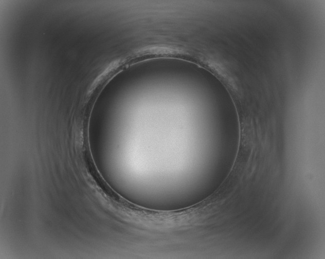 X0000081270015200701111318