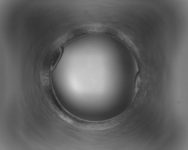 X0000081270017200701111318