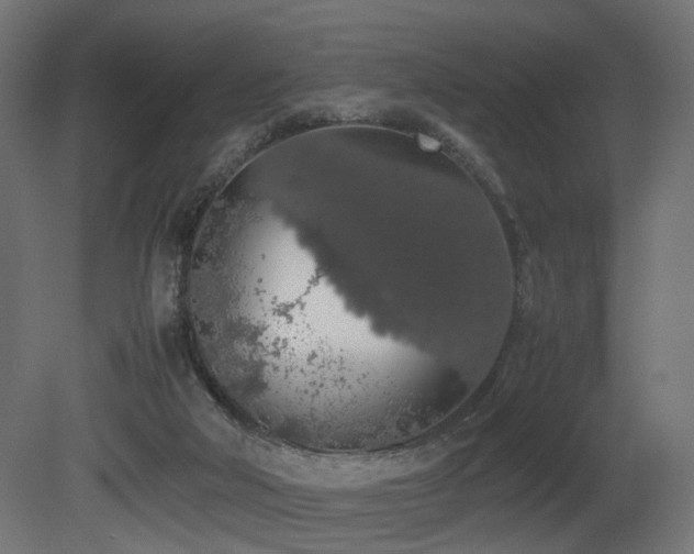 X0000081270018200701111318