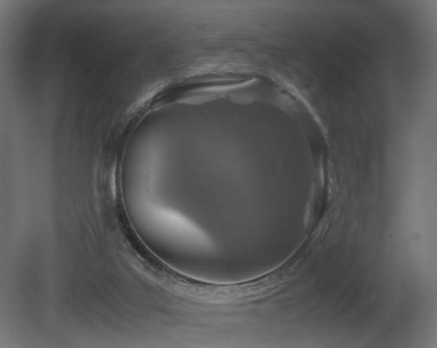 X0000081270019200701111318