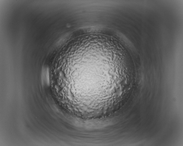 X0000081270022200701111318