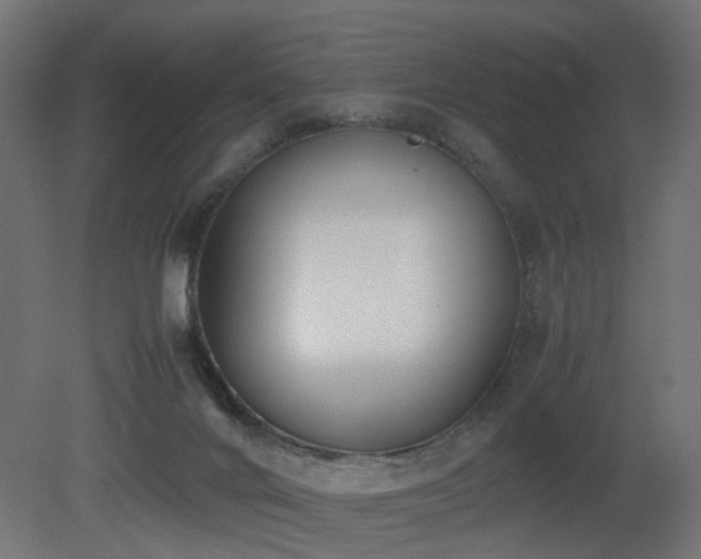 X0000081270024200701111318