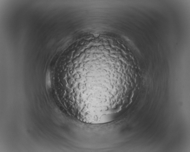 X0000081270026200701111318