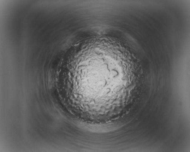 X0000081270030200701111318