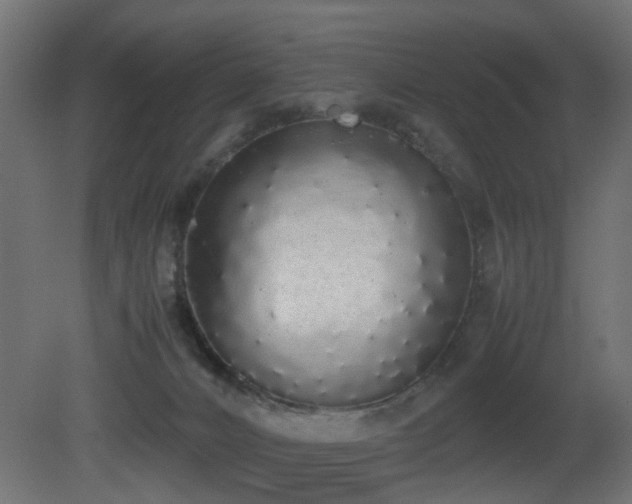 X0000081270032200701111318