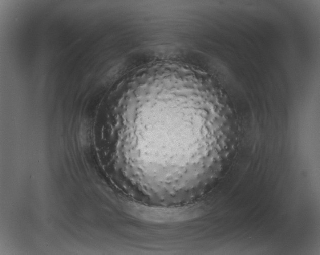X0000081270034200701111318