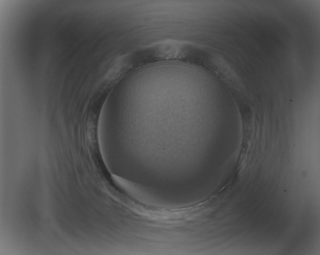 X0000081270035200701111318