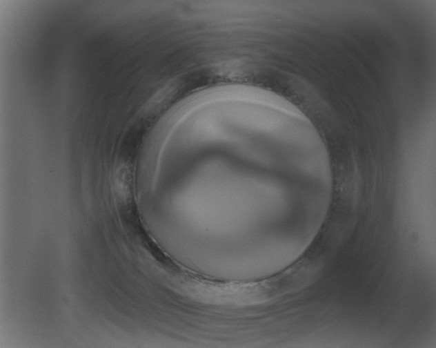 X0000081270036200701111318