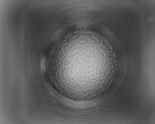 X0000081270038200701111318