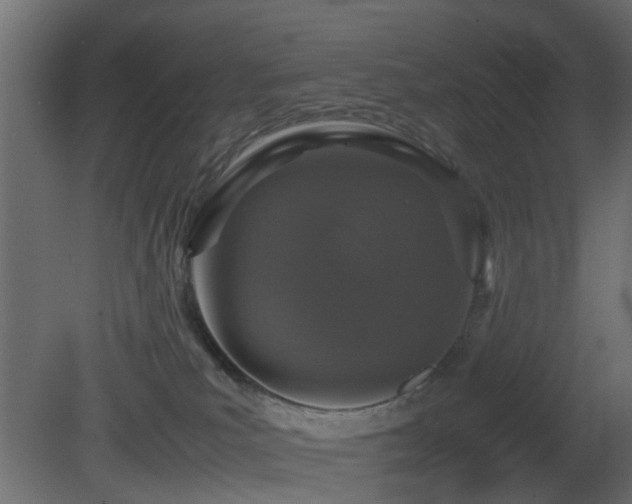 X0000081270039200701111318