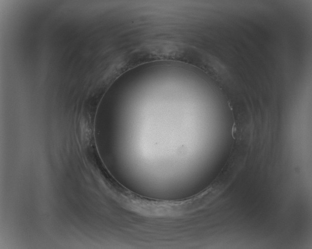 X0000081270040200701111317