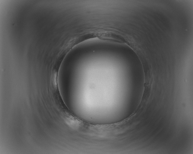 X0000081270041200701111317