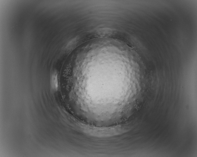 X0000081270042200701111317