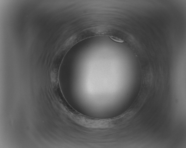 X0000081270044200701111317
