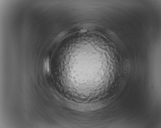 X0000081270046200701111317