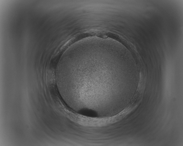 X0000081270048200701111317