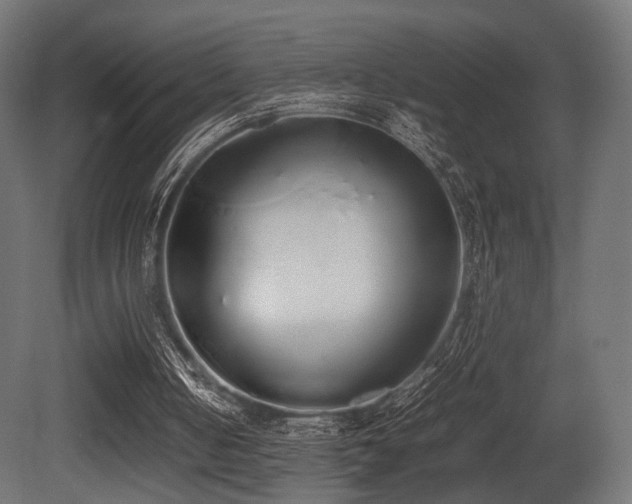 X0000081270050200701111317