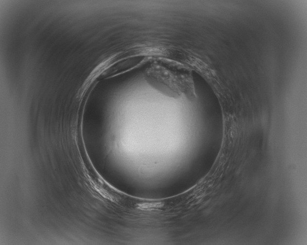 X0000081270051200701111317