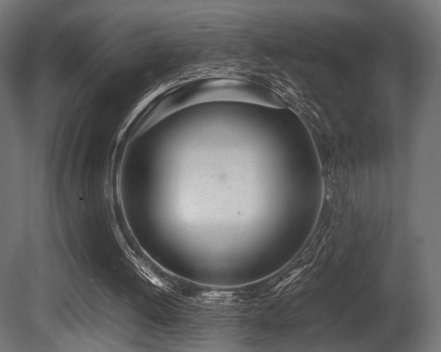 X0000081270052200701111317