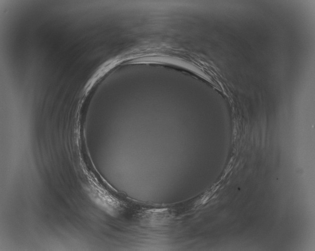 X0000081270054200701111317