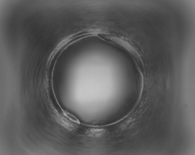 X0000081270055200701111317