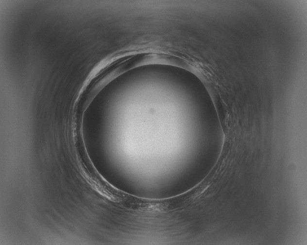 X0000081270056200701111317