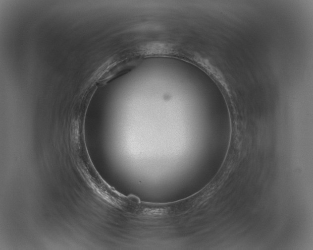 X0000081270057200701111317