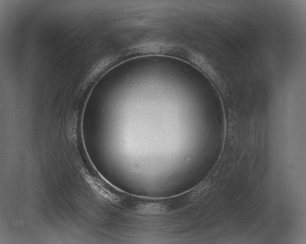 X0000081270058200701111317