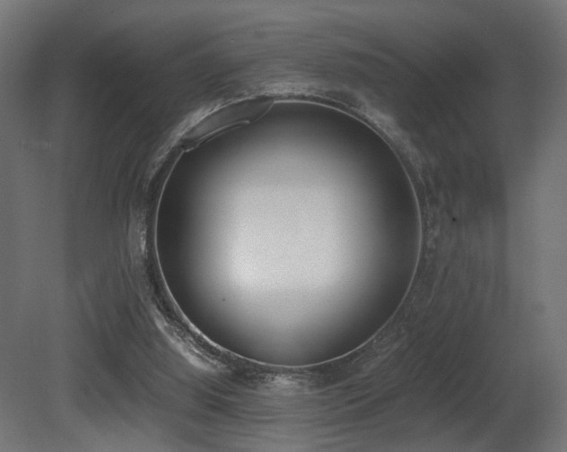 X0000081270060200701111317