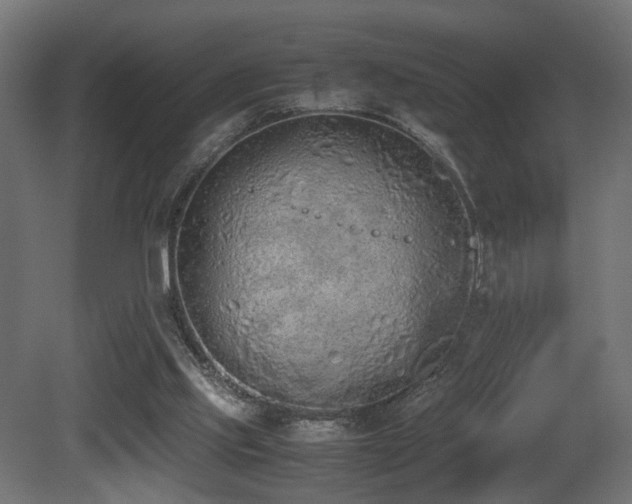 X0000081270061200701111317