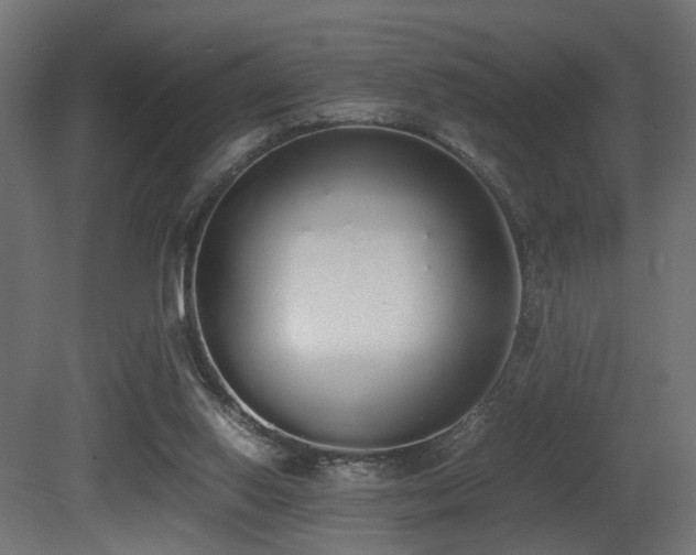 X0000081270062200701111317
