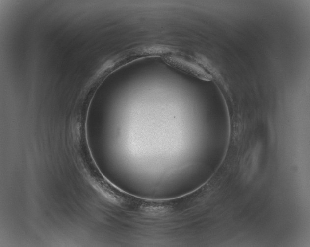 X0000081270063200701111317