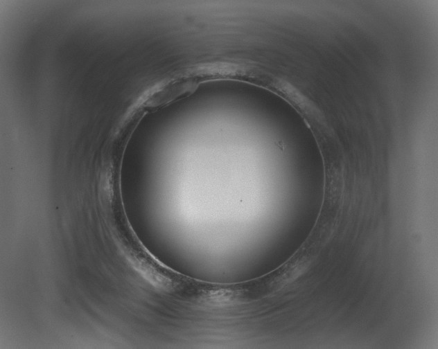 X0000081270064200701111317